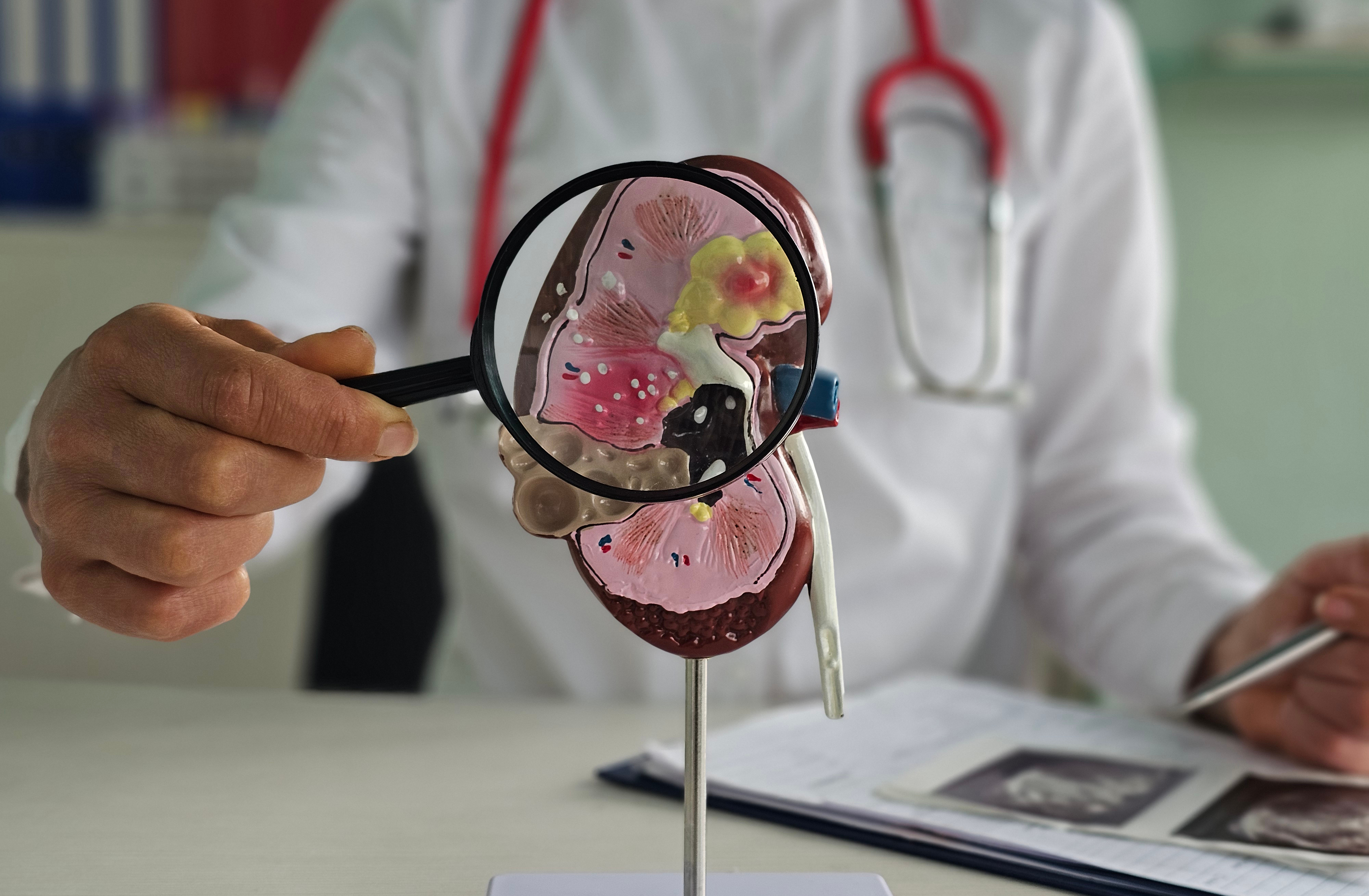 kidney research